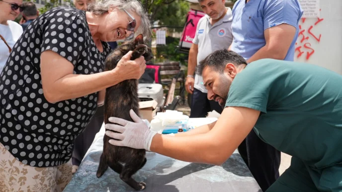 Maltepe'de sokak hayvanlarına yerinde sağlık desteği
