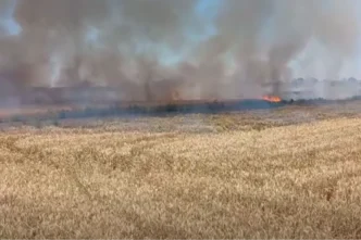 Uzunköprü’de buğday yangını korkuttu