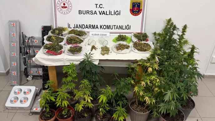 Bursa İnegöl’de kenevir ve yüklü miktarda esrar ele geçirildi