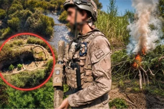 Diyarbakır'da uyuşturucu operasyonu... 387 bin 882 kök kenevir ve skunk ele geçirildi