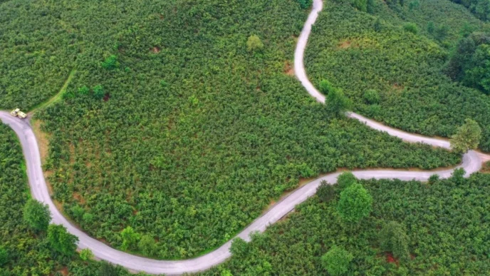 Ordu Büyükşehir’den Ulubey’e 7 kilometrelik asfalt yatırımı