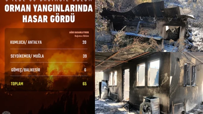 Son orman yangınlarında hasar ne kadar?